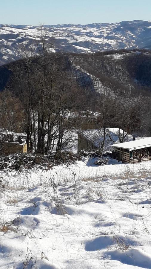 La Tana Del Picchio Villa Neviano degli Arduini Bagian luar foto
