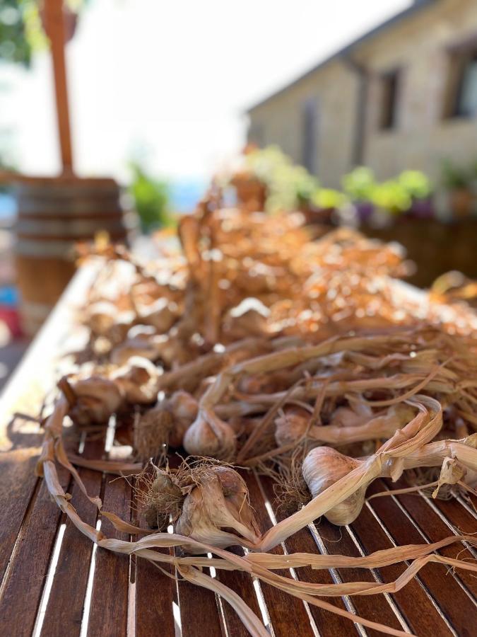 La Tana Del Picchio Villa Neviano degli Arduini Bagian luar foto