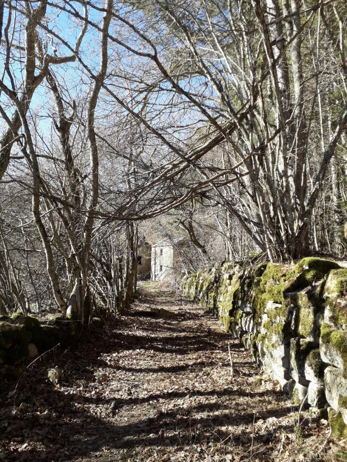 La Tana Del Picchio Villa Neviano degli Arduini Bagian luar foto