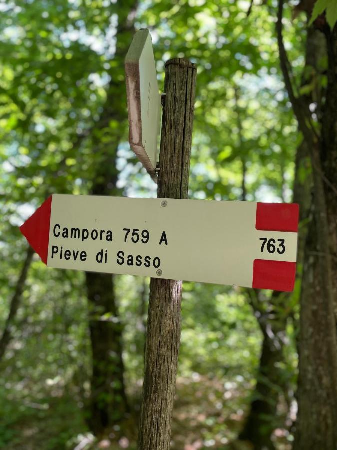 La Tana Del Picchio Villa Neviano degli Arduini Bagian luar foto
