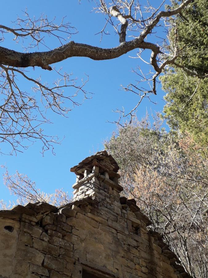 La Tana Del Picchio Villa Neviano degli Arduini Bagian luar foto