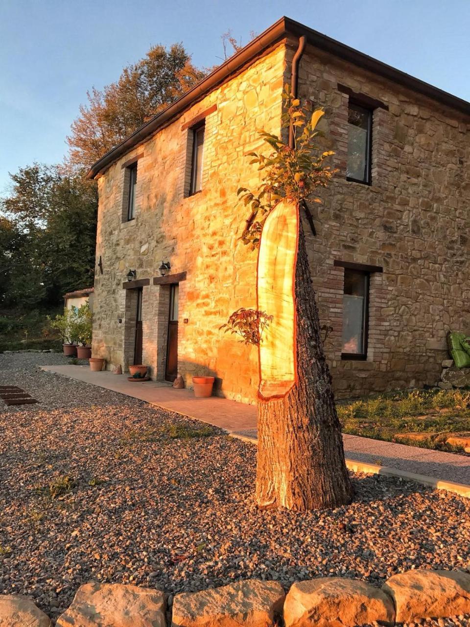La Tana Del Picchio Villa Neviano degli Arduini Bagian luar foto