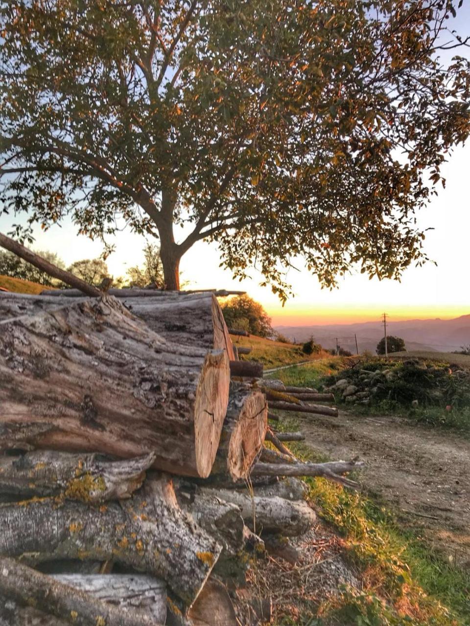 La Tana Del Picchio Villa Neviano degli Arduini Bagian luar foto