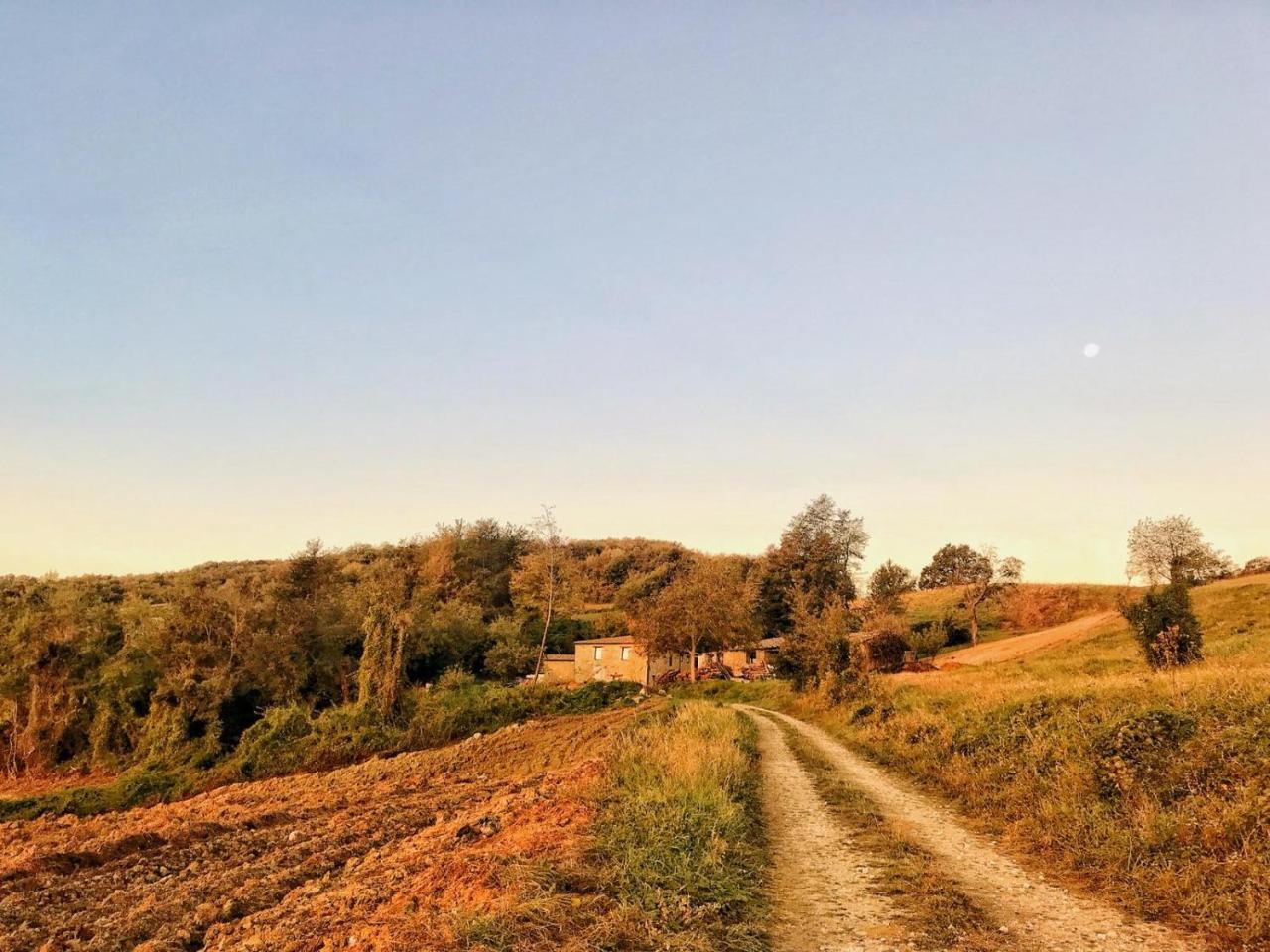 La Tana Del Picchio Villa Neviano degli Arduini Bagian luar foto