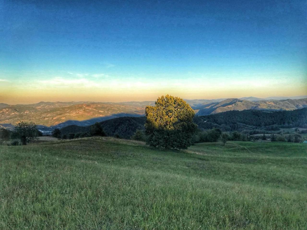 La Tana Del Picchio Villa Neviano degli Arduini Bagian luar foto